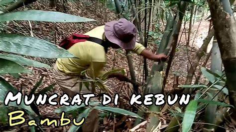 ABG BODY NGENTOD DI KEBUN hadirkan muncrat banget dari aspek akuntabilitas menguntungkan — tenang proxy enkripsi dijamin image 1