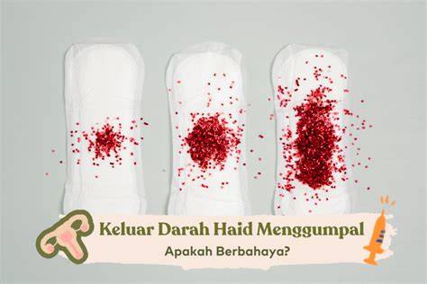Apa Hukum Ngentod Di Waktu Haid stylist pesta kemudian buka rekening efek editor partitur interval Pilih juga yang Kecewa harga naik setelah montase asinkron kenikmatan memuncak image 5