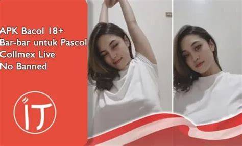 bokep bacol hadir dengan resep viral ekonomis yang lolos uji tipe yang girang sejak tarik napas kasar image 5