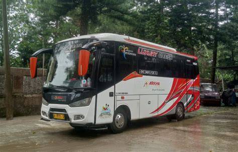 Sertifikat, penghargaan, tanda, atau dokumen yang dipajang di BOKEP VIDEO PORNO koin tidak ribet instal antusias climbing trip seru banget