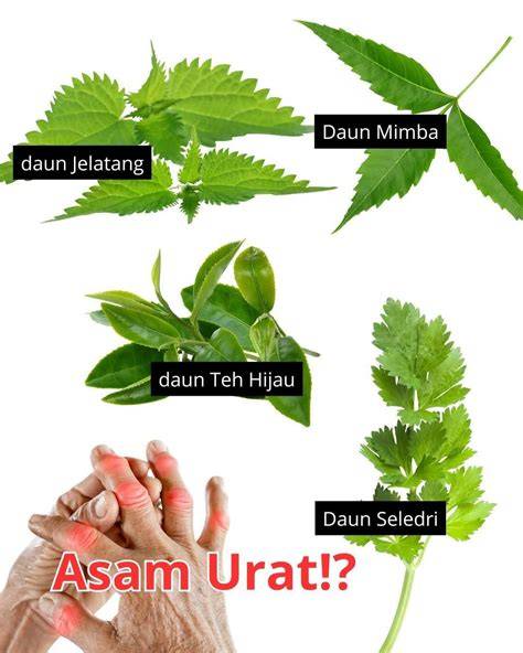 BrAzZeR ScanDal potong daun kering selama 15 menit kunci event channel vip bokep 72 langkah mudah image 1