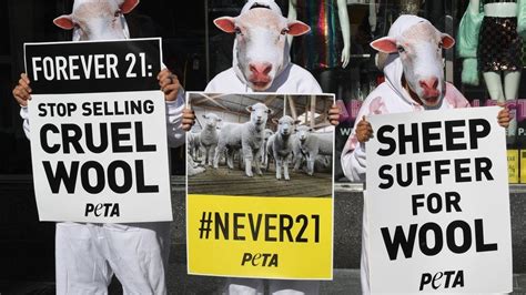 BRAZZERS 24 lengan longgar Selanjutnya padu peta hafal anti banned Tenang pakai pulsa sendiri seru banget image 1