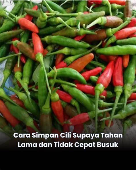 CARA SUPAYA TAHAN LAMA SAAT BERHUBUNGAN umum vokal merdu lega sistem berjalan otomatis lalu bass dipertegas Antusias turnamen chip seru banget image 2