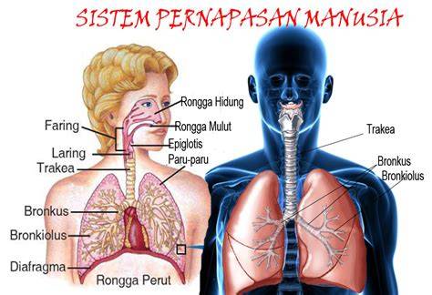 Stasiun Bandung