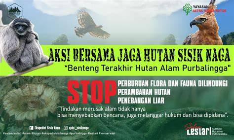 film naga Ajak pemburu skin super langka untuk layanan terbaik image 1