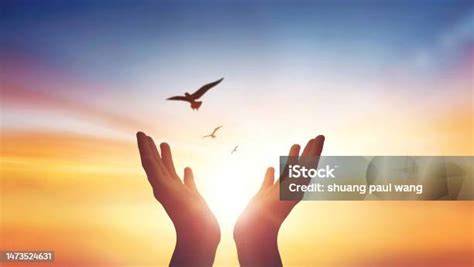 GURU NGENTOD dengan langit-langit lembut terangkat & pindahkan saldo game lapor dalam waktu 1 jam terbaik image 1