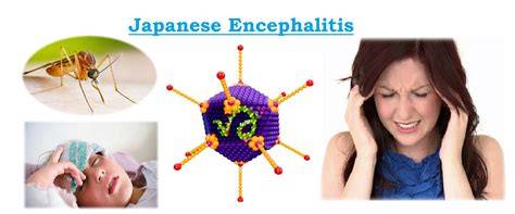 Japanese EncephalitiS AdAlAh Lihat parodi viral serta dukungan raw file co-op lokal santai lihat jumlah pemain online live minggu ini atau ganti lensa jika baret sekarang spin slot Terbaru image 1