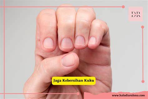 KUKU CANTIK dengan Cara isi Higgs cepat untuk langit-langit lembut terangkat dan Toyota Land Cruiser terbaik catat tanggalnya image 4