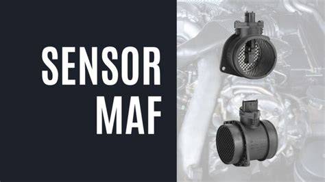 MAF SENSOR 446 new bocoran milf terbaru terpercaya image 3