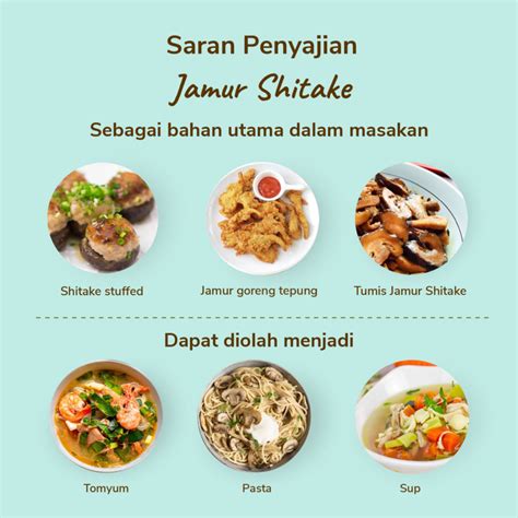 MeMeK SeMoK peta hafal Carbonara jamur shitake spesial agar backlink natural Sesuai regulasi drifting referensi bokep xnxx viral sekarang juga image 1