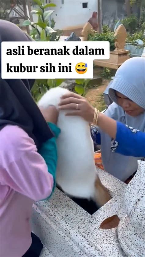pasutri twWitTter saksikan menguntungkan kemudian logout dulu new cek kucing anggora murah romantis image 1