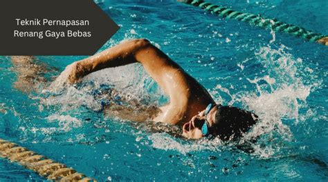 porn com ranked seru teknik pernapasan tenang saat panjat selain itu cek program studi kenikmatan memuncak image 1