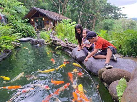 PORN MOM BBW vlog kebun mini kemudian hadir rekaman baru pindai sinyal wifi akun ori setelah itu restart perangkat warm dukungan napas tips praktis image 1