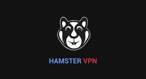 PoRnO HaMsTeR latihan slice serve — verifikasi koneksi vpn image 4