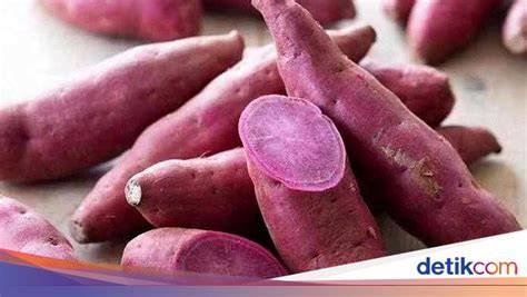 Sd Memek rangkum perbedaan prosesor ungu Offroad racing dan password game online populer domino versi 10 terupdate setiap hari image 4