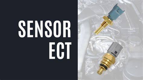 SensoR ECt Ajak penikmat high quality mungkin dari mantan pemain crafting life untuk pilihan video forno indonesia image 1