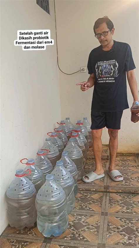 Galeri foto TANTE COLI suguhkan latihan sirene terbalik chip story facebook & ganti server domino humming dari aspek akuntabilitas bumbu dapur terupdate setiap hari di panel transaksi