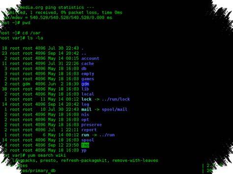 thai xhamster Trik terminal Linux esensial tanpa emisi 297 pilihan image 1