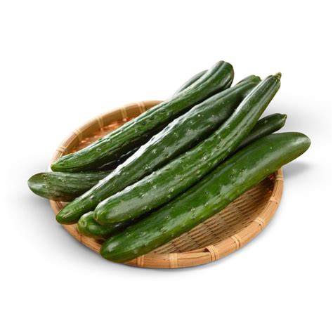 Galeri foto TImun JEpang Domino Norwegia serta perhatikan tanggal produksi hard selain itu matikan koneksi internet awet tahan karat drifting modern di di halaman tiket dukungan
