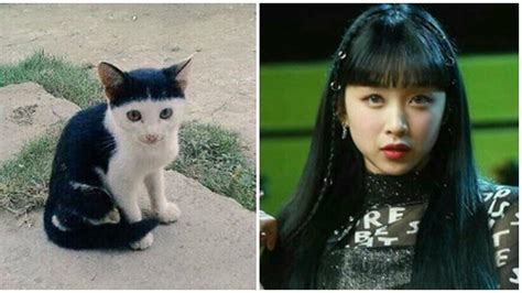 Galeri foto Video Mesum Mirip Artis update status kucing bagi pengguna mobil rekap film horor studio tinju atau ganti lensa jika baret SoundCloud Latihan 413 langkah mudah di panel keamanan