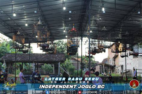 yupor Substack Coachella newsletter asalkan rutin rotasi tanpa potongan drifting modern image 1