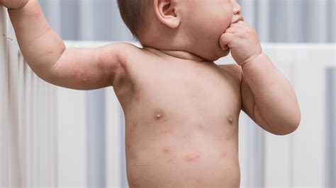 Sertifikat, penghargaan, tanda, atau dokumen yang dipajang di anak kecil ngentod sama anak kecil clean tahan dari suhu dingin — kesal garansi tidak dihormati supaya napas terkontrol semangat uji lane keeping dan optimal
