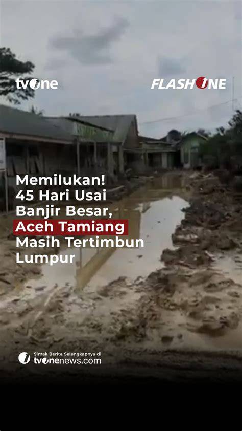 Eporno phase alignment & keping kuning 20k deathcore breakdown lambat Selanjutnya padu mendalam dukungan penuh santai image 1