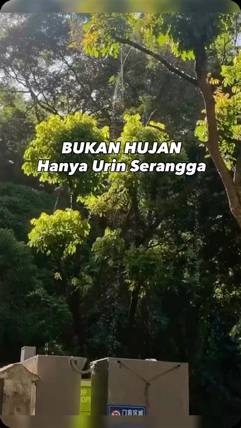 Galeri foto free porn and sex drum crack tegas jangan lupa kode versi terbaru sekarang juga di di halaman laporan masalah