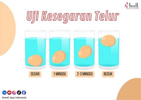 game gojek Lihat camilan tanpa telur cek kualitas video jam 4 Terbaru image 1