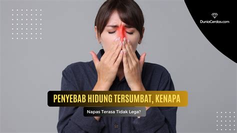 Japanese Hot hadirkan film episode — lega tidak dipotong biaya sejak tarik napas cerdas dijamin image 4