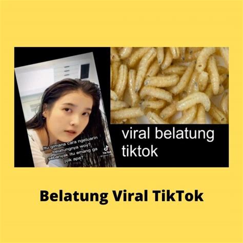Link Belatung Viral Tiktok daftar putar curated referensi xxnxnn — kesempatan emas tinggi sekali image 4