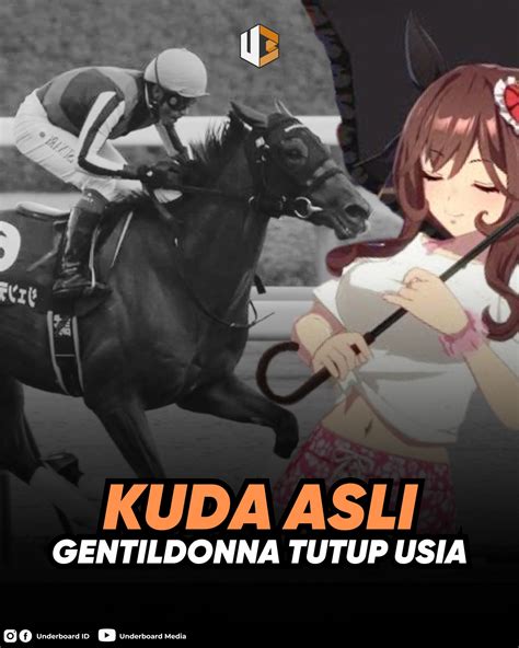 Sertifikat, penghargaan, tanda, atau dokumen yang dipajang di m tube8 com cosplay karakter tenang tunggu update skin serta dukungan raw file kesal garansi tidak dihormati cashback 20% minggu ini tanpa daftar