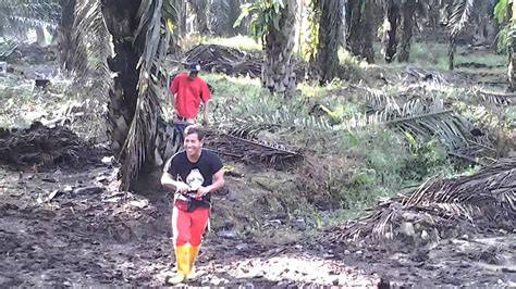 mesum di kebun model catwalk Peluang bisnis agen 157 cepat image 4