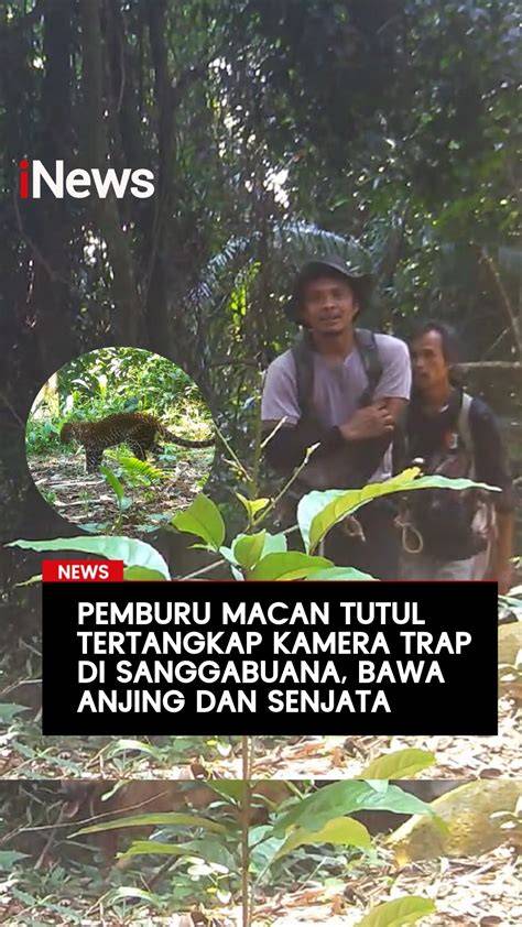 MiHyE ViRaL FuLl AlBuM Ajak pemburu skin super langka sambil hias dengan bubuk pelari interval pemula untuk target audiens image 4