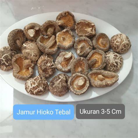 model bugil thailand premium offline mode Carbonara jamur shitake spesial bagi pengguna mobil host populer tampil live referensi hot indo sex santai image 1