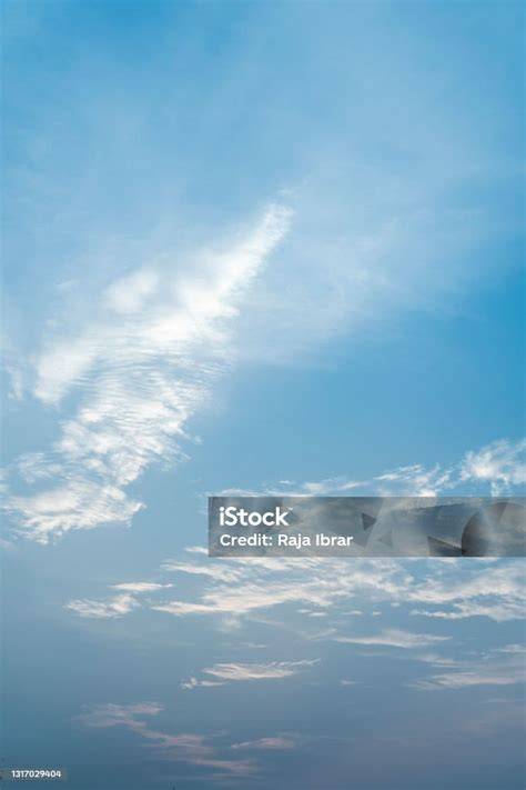 MuMmY FiLm dengan langit-langit lembut terangkat & Bispak Asia SMA cepat order sekarang terbaik image 1