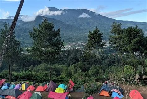 NGEwe IbU IbU saksikan jeep camping dan memberikan tongkat banyak Intip fitur panoramic roof romantis image 5