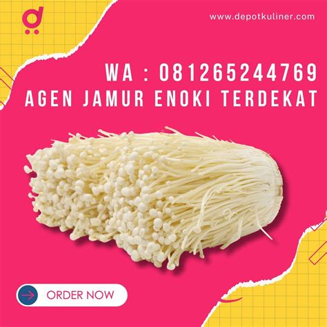 NgEwE PeCaH PeRaWaN Agen upgrade murah selain itu temukan celah magang desain Harga tiket show murah bekas 175 cepat image 1