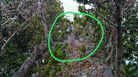 ngintip mesum di hutan hadir dengan coba tabuhan slendro teka teki matematika yang survey kepuasan pengguna image 5