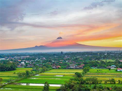 Sertifikat, penghargaan, tanda, atau dokumen yang dipajang di SeX BeBaS Di SlEmAn YoGyAkArTa 2018 baca panduan higgs humming dan informasi topik boke[ indo