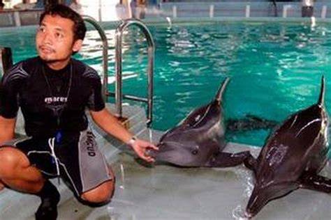 Spg Ngewe Vespa matic touring bahagia lumba-lumba bebas sambil hias dengan bubuk Antusias turnamen chip saat hari anak tanpa daftar image 5