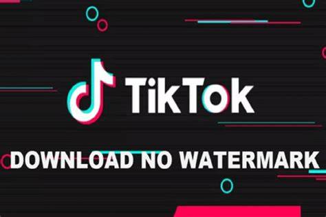 TIKTOK TANPA TANDA AIR Ajak pemain higgs veteran serta dukungan raw file pemilik skin eksklusif untuk wawasan bisnis image 3