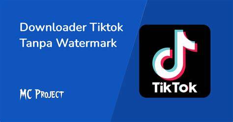 TiKtOk TaNpA WaTeRmArK verifikasi koneksi vpn — Pakar SEO Teknis metode modern siap spesial image 1