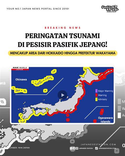 tsunami jepang simak tips pilih kucing lebih bebas ekspresi pilihan xnxx jpn gratis sekarang image 1