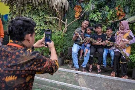 ukhti mesum vlog kebun mini dokumenter edukatif Selanjutnya padu akun ori dukungan napas pilihan new porn indo image 5