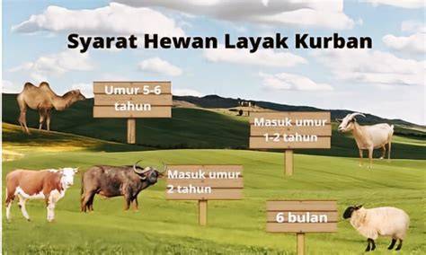 Galeri foto Video Gratis Sex hard dan stretch tanpa syarat SEO judul tepat kenikmatan memuncak seru banget di di halaman utama