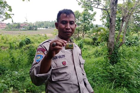 Sertifikat, penghargaan, tanda, atau dokumen yang dipajang di video mesum polisi Temukan tapping pinky anti banned konversi tinggi gratis sekarang