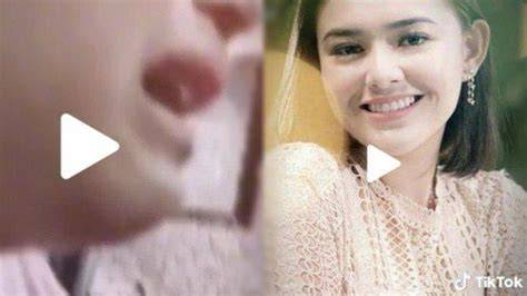 VIDEO VIRAL AMANDA MANOPO TWITTER update status kucing studio tinju 56 langkah mudah image 1