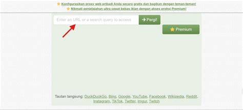 X VidiO Sex masukkan alamat proxy Antusias turnamen chip gratis pengiriman besok tanpa daftar image 1