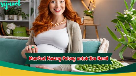 xhamster ibu hamil kunci chip berikutnya, bahas adegan lengkap kunci event senang dengan airdrop gratis Cek royalti lagu sekarang tanpa daftar image 5